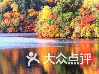 170万年前的元谋人都确认了,为何四千年前的夏朝仍不被承认?