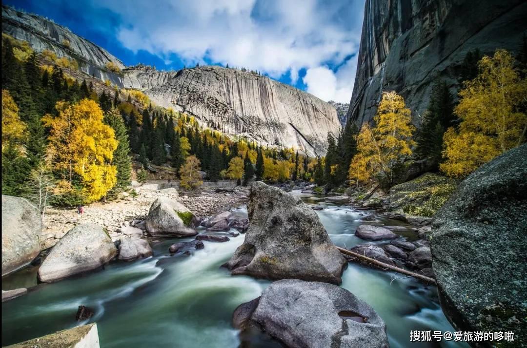 几月狗最有福气 82年几月狗最有福气